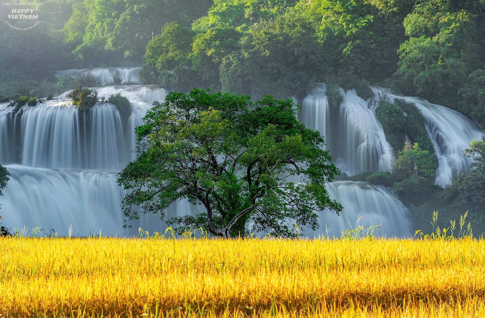 មើល​រូបថត​ប្រទេស​វៀតណាម​ក្នុង​បញ្ជី​កន្លែង​ស្អាតៗ​ដែល​ធ្វើ​ឱ្យ​អ្នក​ចង់​ធ្វើ​ដំណើរ​ភ្លាមៗ