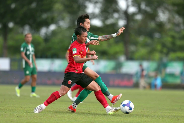 CLB Quy Nhơn Bình Định - Ảnh 1.