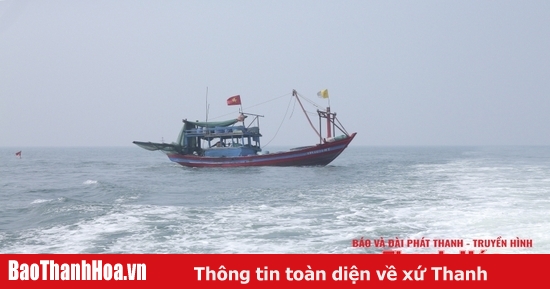 Chủ động ứng phó với áp thấp nhiệt đới và gió mạnh trên biển