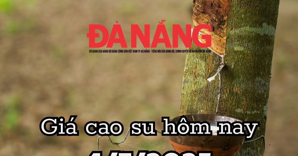 តម្លៃកៅស៊ូថ្ងៃនេះ ថ្ងៃទី 4 ខែកក្កដា ឆ្នាំ 2025៖ Mang Yang ឡើងរលក ភូ Rieng នៅតែរឹងរូសនៅតម្លៃ 385 ដុង/DRC