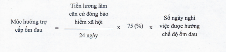 Quy định mới nhất về bảo hiểm xã hội bắt buộc- Ảnh 2.