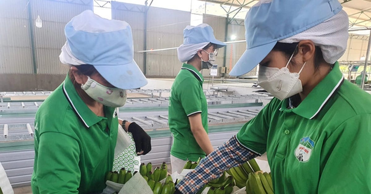 Hoang Anh Gia Lai delays bond interest payment, about to have more than 1,000 billion in unusual income