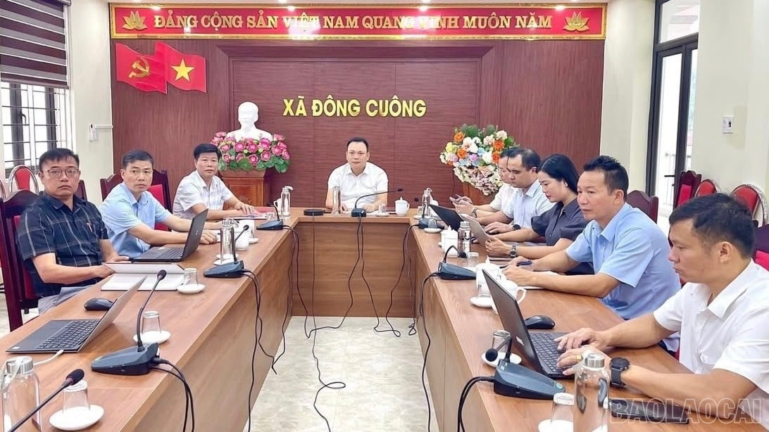 baolaocai-br_image-123650291-75.jpg