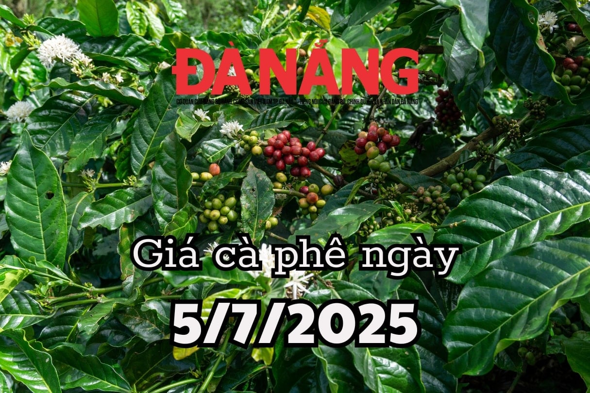 Dự báo giá cà phê trong nước ngày mai 5 7 2025 điều chỉnh trước đợt tăng mới