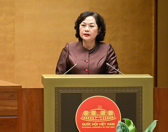 Ngân hàng Nhà nước được quyết cho vay đặc biệt lãi suất 0%- Ảnh 1.
