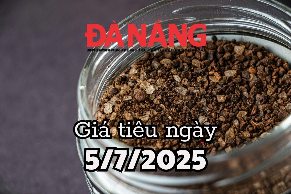 Dự báo giá tiêu ngày mai ở trong nước 5 7 2025 mất đỉnh 140.000 đồng kg