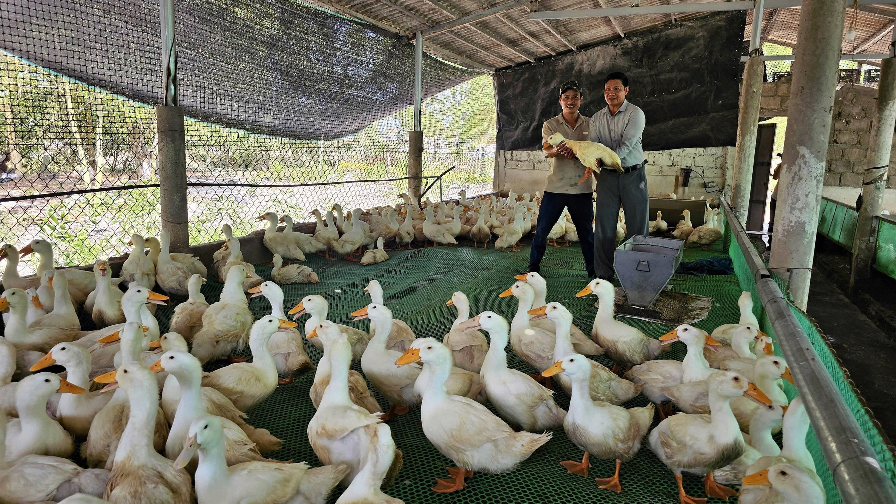គំរូចិញ្ចឹមទាប្រកបដោយប្រសិទ្ធភាពនៅជាន់សំណាញ់
