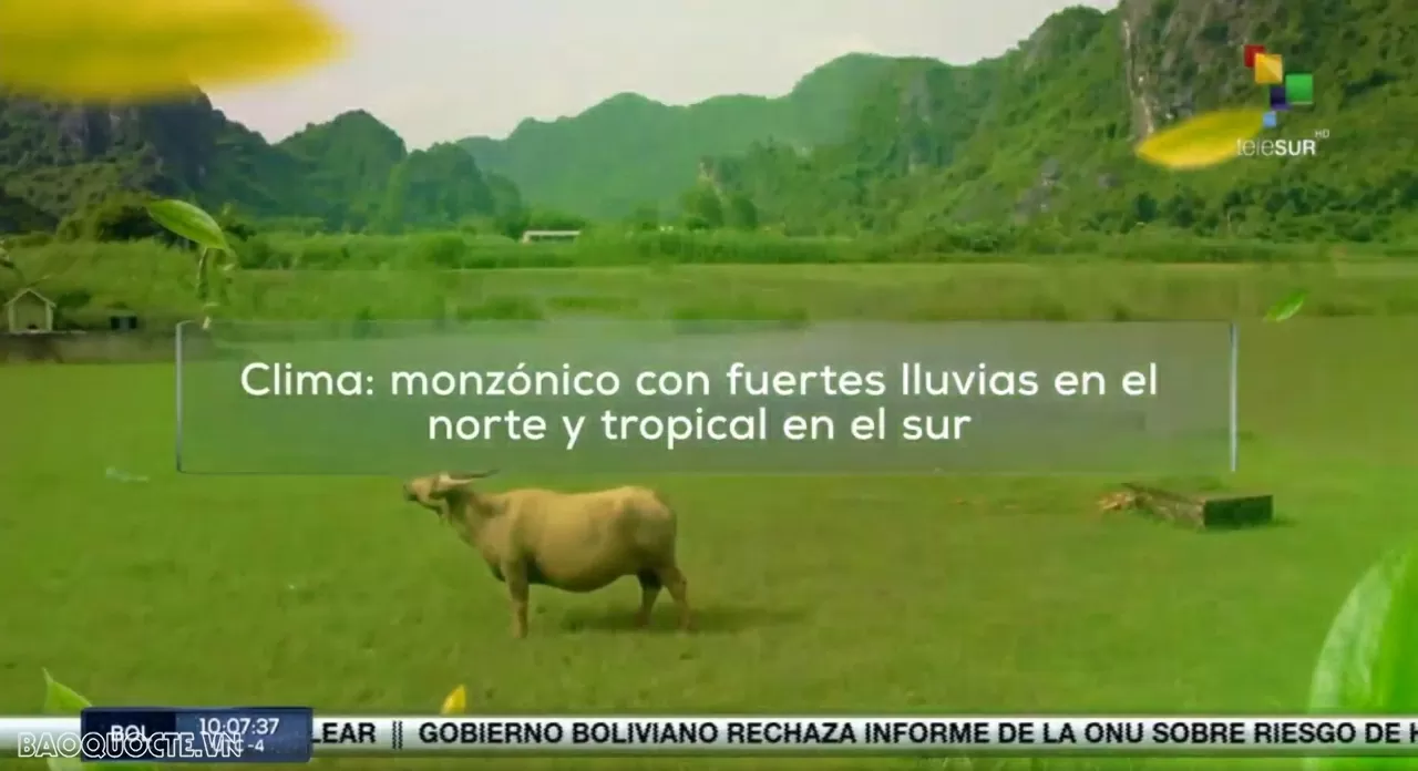 TELESUR mong muốn đồng hành cùng Việt Nam trong kỷ nguyên vươn mình