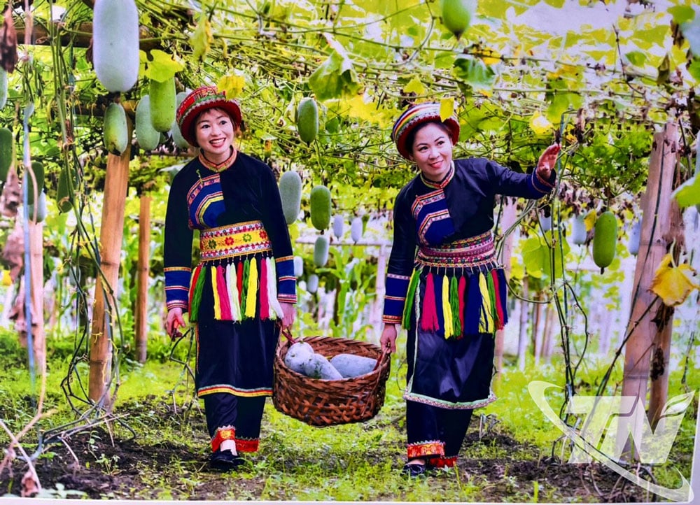 Đặc sản bí xanh thơm nổi tiếng của xã Ba Bể là một trong những sản phẩm du lịch.