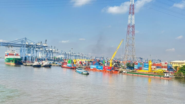 Năm 2024, Việt Nam xuất khẩu sang Mỹ chiếm khoảng 29,5% tổng kim ngạch xuất khẩu với giá trị đạt 119,5 tỷ USD. Các mặt hàng xuất khẩu chủ lực, gồm máy tính, sản phẩm điện tử, linh kiện, máy móc, thiết bị, dệt may và gỗ... (Ảnh: Vietnam+)