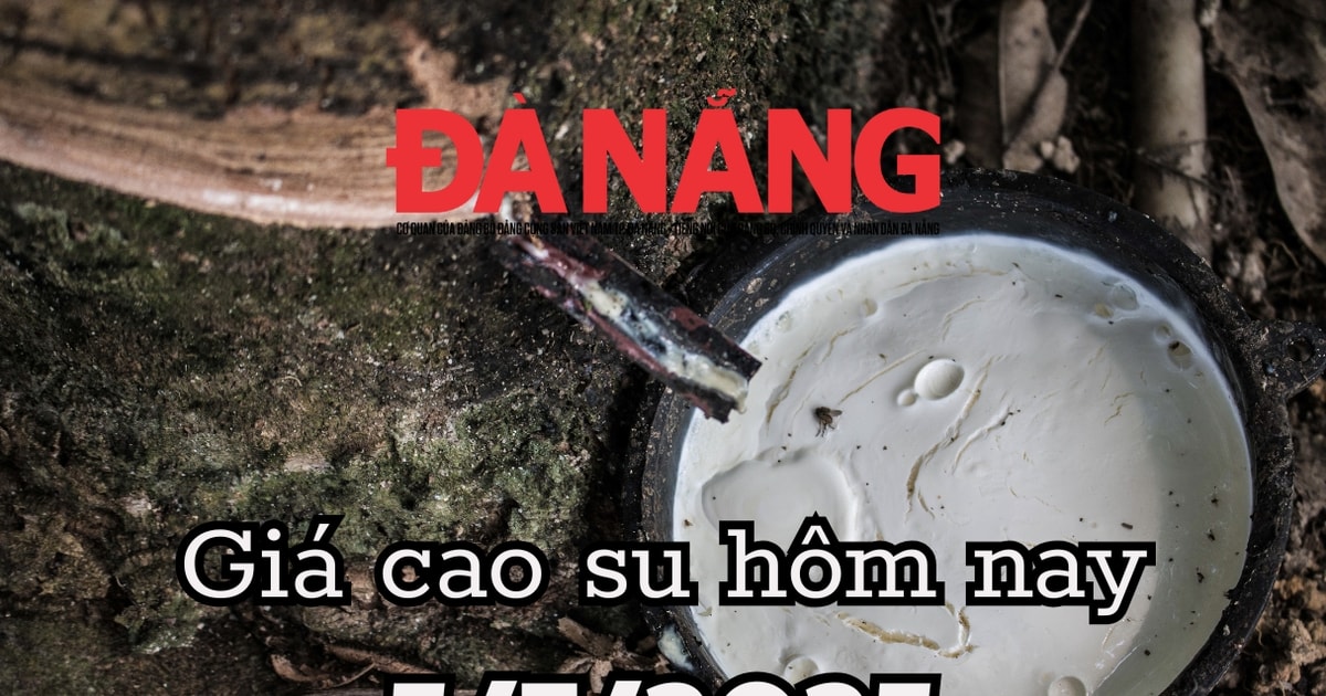 តម្លៃកៅស៊ូថ្ងៃនេះ 7/5/2025: តម្រូវការសកល 15.56 លានតោននៅតែមិនគ្រប់គ្រាន់ដើម្បី 'សន្សំ' តម្លៃ