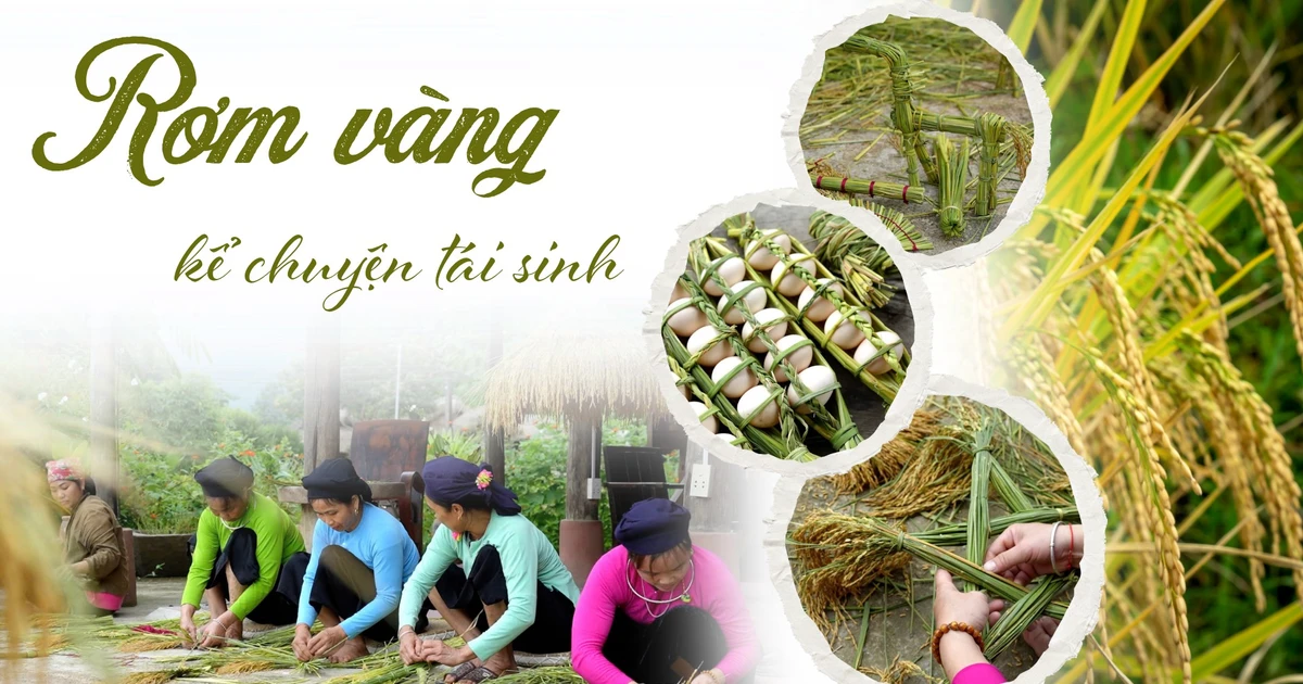 ចំបើងមាសប្រាប់រឿងរ៉ាវនៃការកើតជាថ្មី