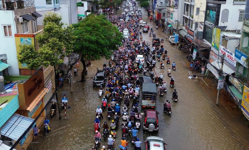 ហេតុអ្វីបានជាប្រធានទីក្រុង Can Tho ផ្តល់រង្វាន់?
