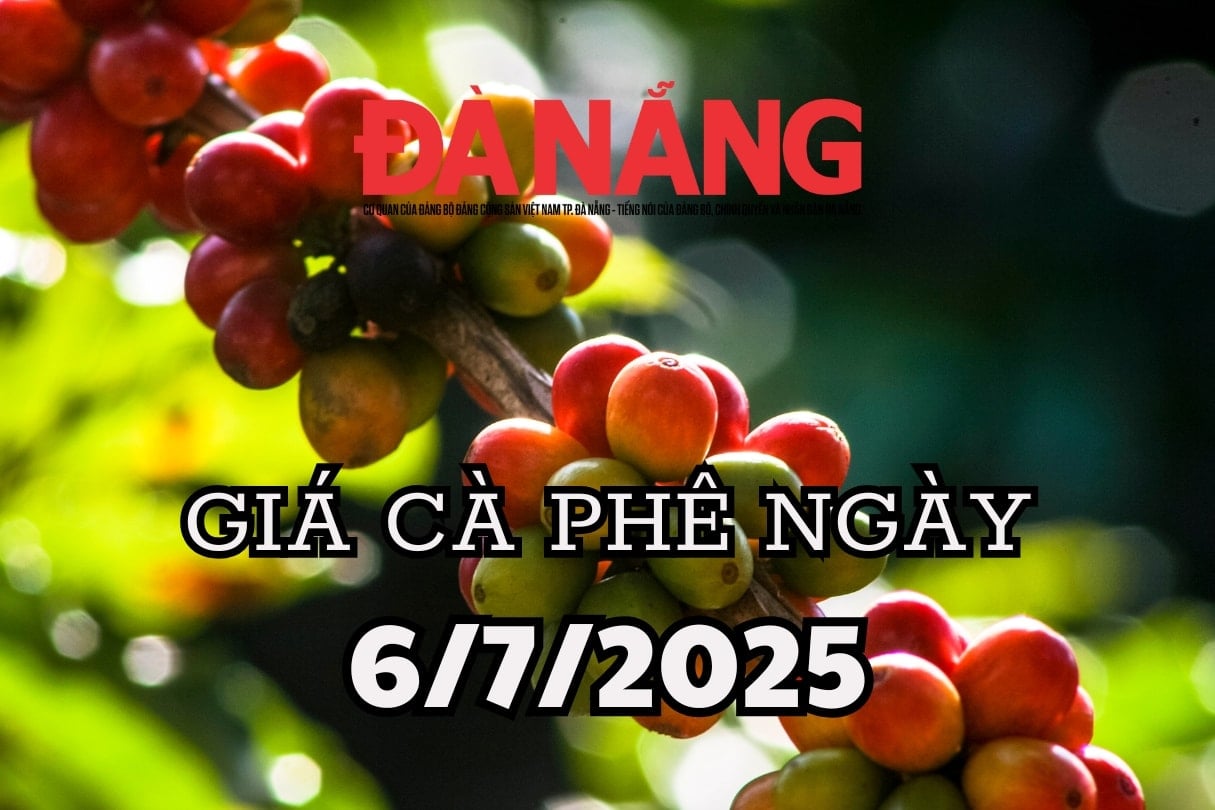 Dự báo giá cà phê ngày mai 6 7 2025 Đắk Lắk, Lâm Đồng tiếp tục cơn sốt giá