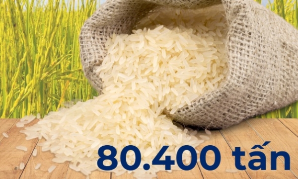 80.400 Tonnen – das ist das Ziel der diesjährigen Frühjahrsreisproduktion des Agrarsektors von Quang Ninh