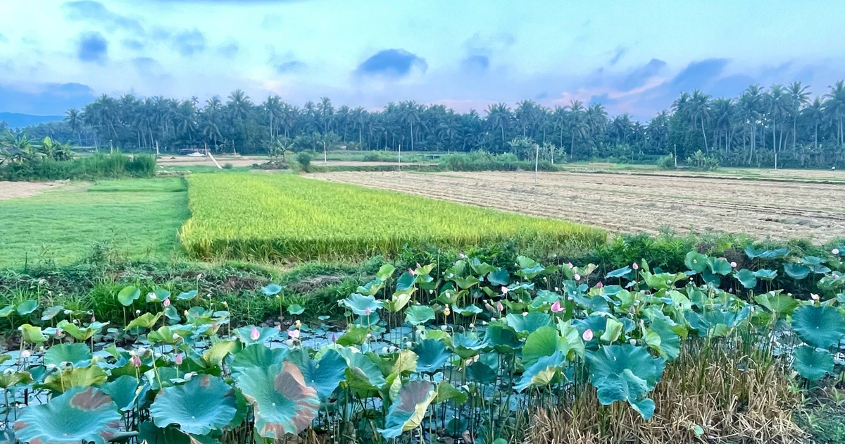 បន្ត​លើក​លែង​ពន្ធ​លើ​ការ​ប្រើប្រាស់​ដី​កសិកម្ម​រយៈពេល ៥​ឆ្នាំ​ខាង​មុខ