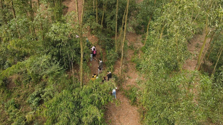 Làng Háo Hức - Ảnh 4.