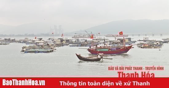 “Văn hóa dân gian biển, đảo xứ Thanh như chất men say ngấm vào đời tôi”...