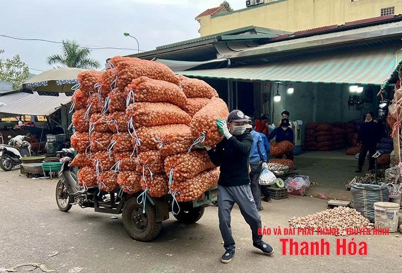 Phía sau những bước chân hối hả mưu sinh