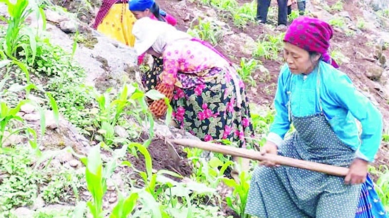 People on the Dong Van Stone Plateau prepare the land to grow main-season corn.