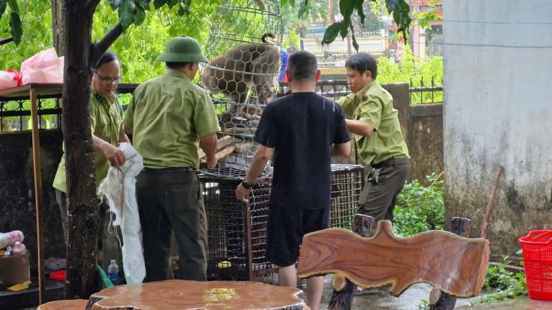 Bắt được cá thể khỉ tấn công nhiều người bị thương -0