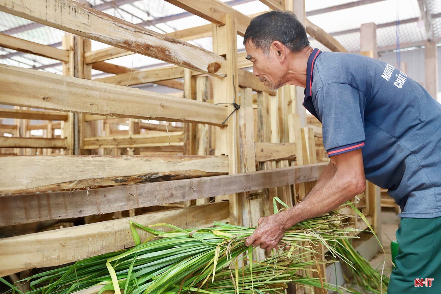 Mô hình chăn nuôi hươu của HTX Xuyên Sơn là một điển hình cho sự mạnh dạn, dám nghĩ dám làm và áp dụng khoa học kỹ thuật vào sản xuất; hứa hẹn sẽ là một hướng đi mới, mở ra nhiều cơ hội phát triển cho ngành chăn nuôi đặc sản tại xã Cẩm Hưng.