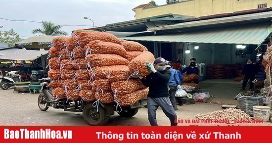 Phía sau những bước chân hối hả mưu sinh