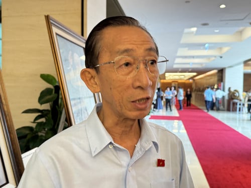 Đại biểu Quốc hội Trần Hoàng Ngân cho rằng, Nghị quyết 68 là bước ngoặt lịch sử trong việc thúc đẩy phát triển kinh tế tư nhân. (Ảnh: TTXVN)