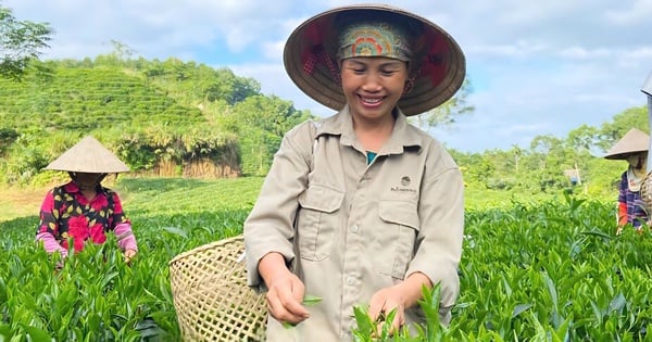 ការកែលម្អលទ្ធភាពទទួលបានសេវាហិរញ្ញវត្ថុសម្រាប់ស្ត្រី ក្រុមងាយរងគ្រោះ និងតំបន់ជនបទ និងតំបន់ភ្នំ