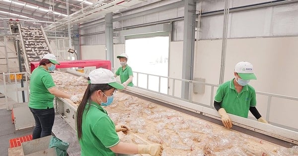 Tiêu dùng bền vững hướng đến kỷ nguyên xanh: