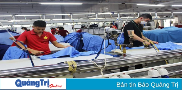 Hơn 530 doanh nghiệp được thành lập mới