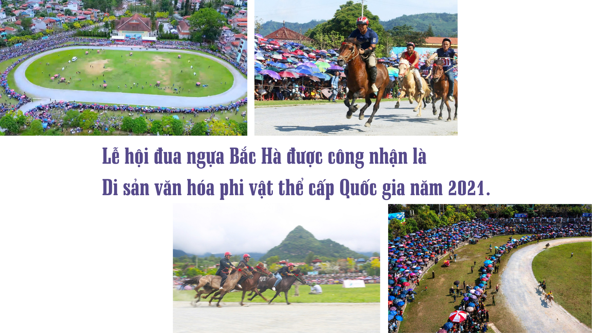 ban-sac-va-hoi-nhap-5.png