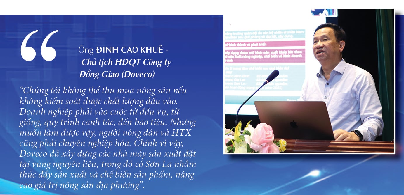 Longform | Tây Bắc đồng lòng, nông sản bản địa vươn mình lớn dậy - 6