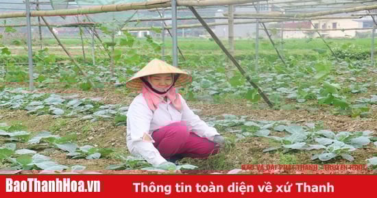 Duy trì chất lượng VietGAP sau chứng nhận