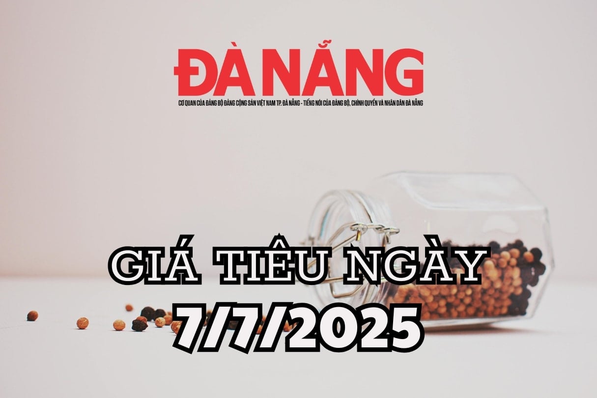 Tin tức, dự báo giá tiêu ngày mai 7 7 2025 thị trường đảo chiều, kịch bản lặp lại