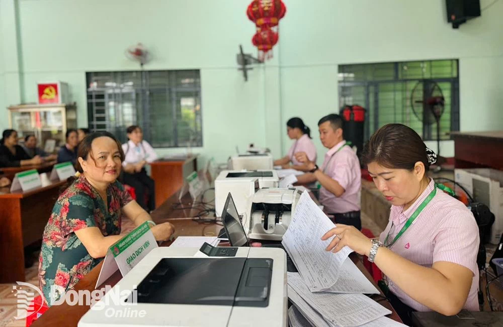 Đảm bảo hoạt động tín dụng chính sách ổn định, thông suốt sau sắp xếp đơn vị hành chính