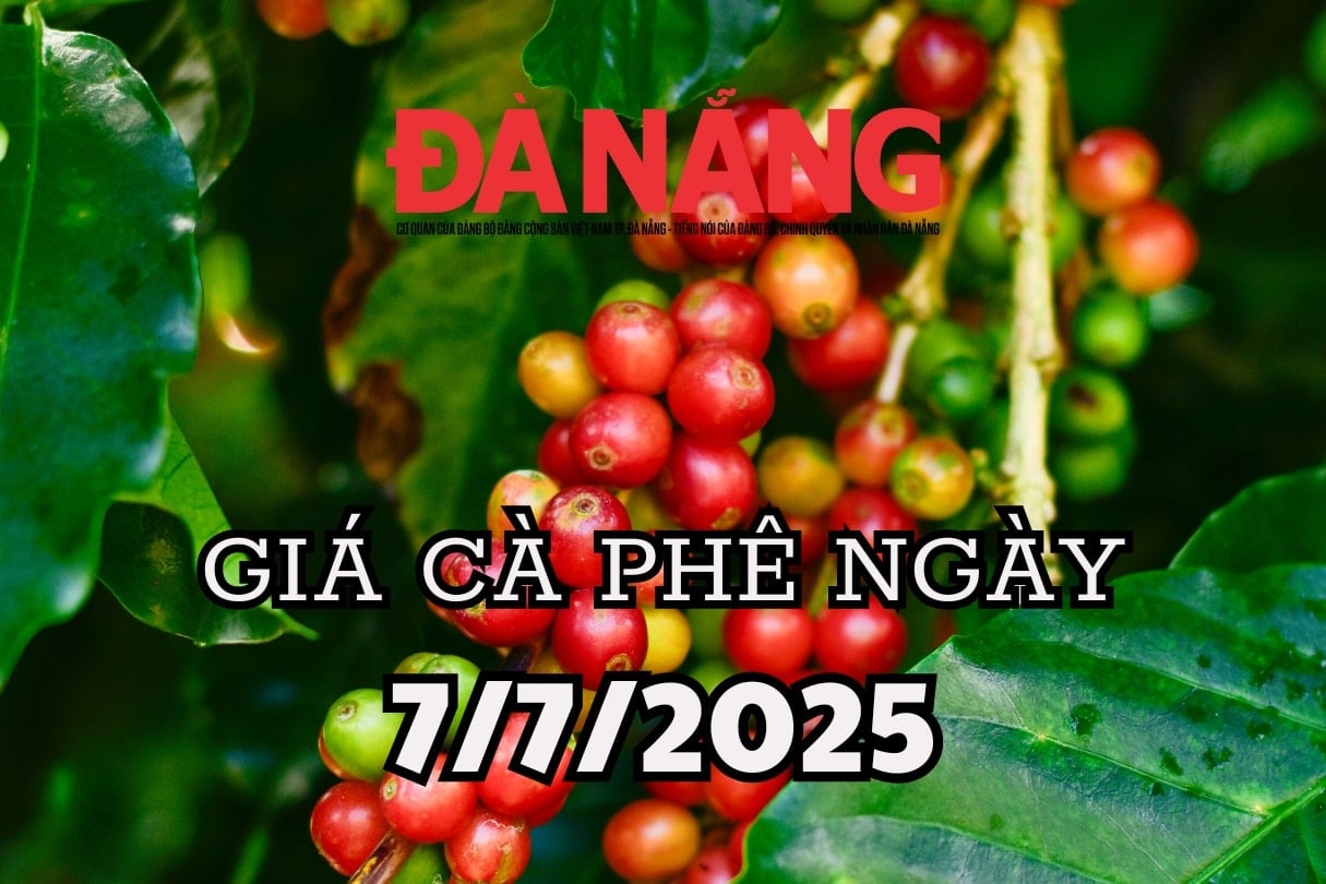 Dự báo giá cà phê ngày mai 7 7 2025 ổn định tạm thời hay sóng ngầm dưới đáy