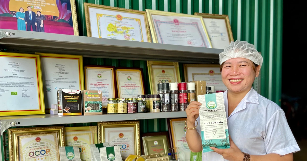 Cú hích cho nông sản Gia Lai