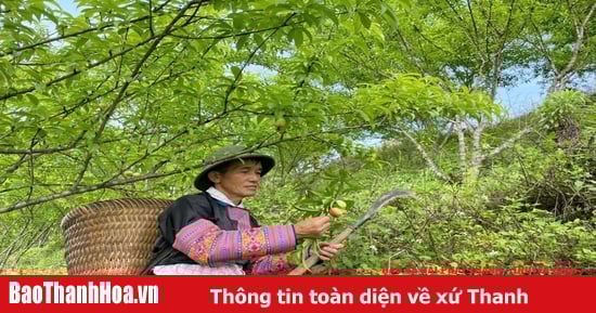 “Điểm tựa” cho người dân biên giới