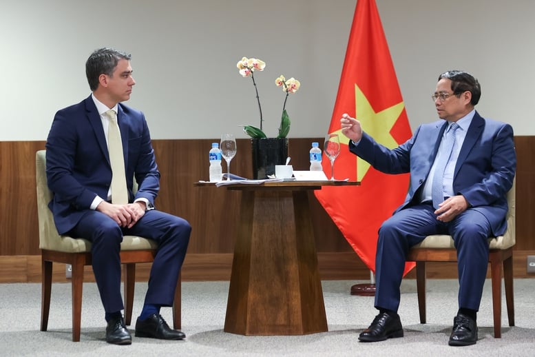 Doanh nghiệp tiên phong của Brazil đề xuất hợp tác nhiên liệu sinh học với Việt Nam- Ảnh 2.