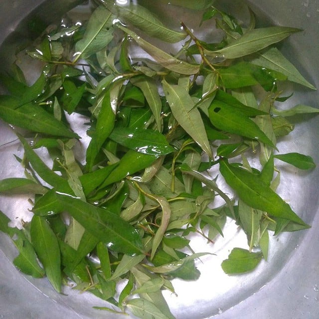 Đây mới là cách làm món đậu phụ hấp rau răm siêu lạ, dân dã, ngon khó tả- Ảnh 2.
