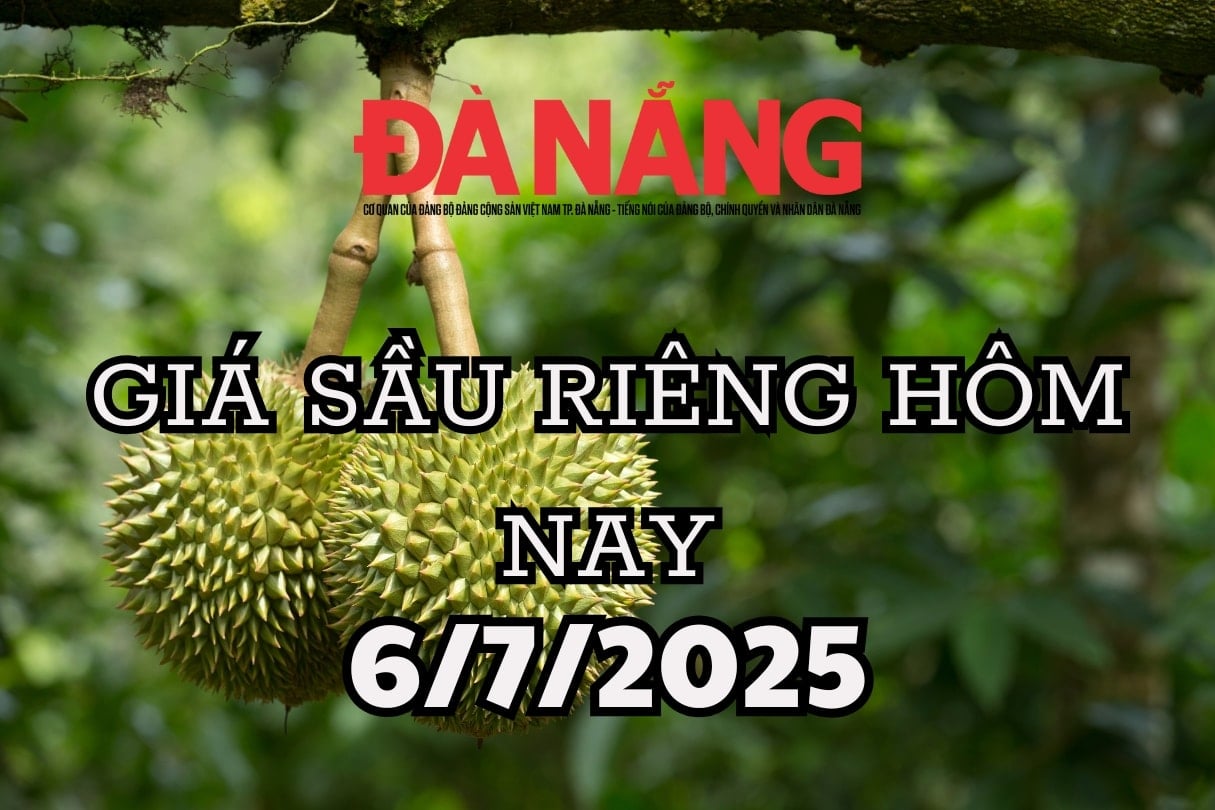 Giá sầu riêng hôm nay 6 7 2025 giá sụt sâu, doanh nghiệp nhập khẩu ồ ạt