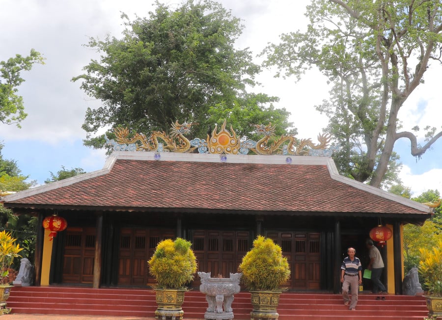 img-6894.jpg