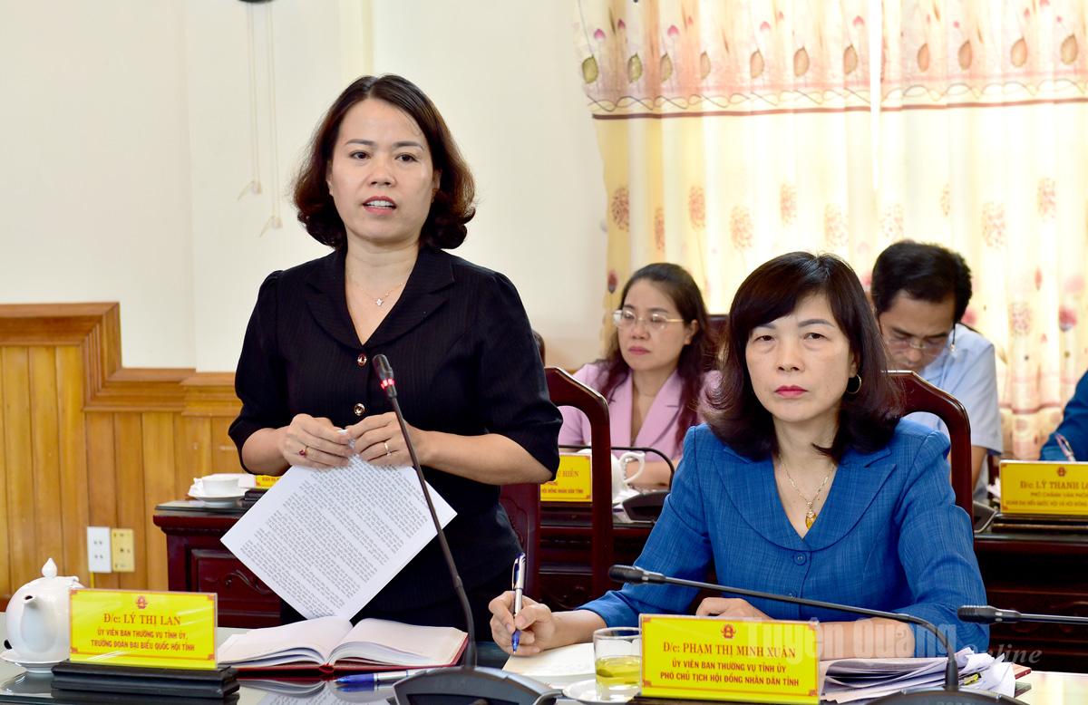 Đồng chí Trưởng đoàn ĐBQH tỉnh Lý Thị Lan phát biểu tại phiên họp.