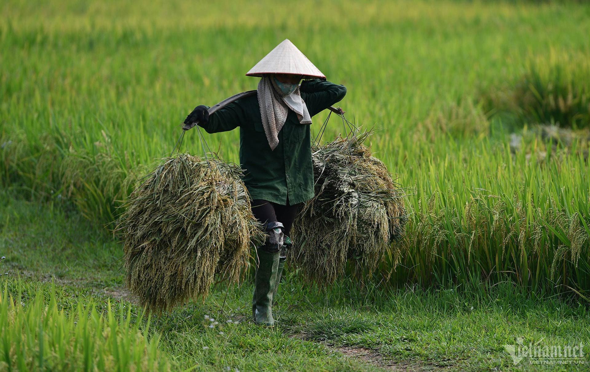 រូបថត 1.jpg