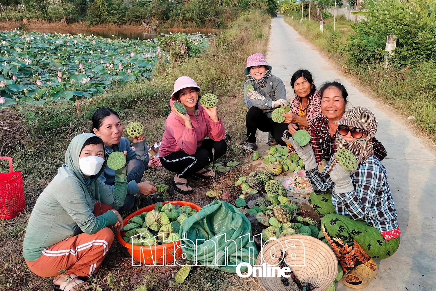Các chị em vui mừng với thành quả sau thu hoạch sen.