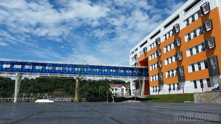 baolaocai-br_dji-0123.jpg
