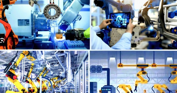 Regulations on organization and operation of the Steering Committee for Science, Technology, Innovation, Digital Transformation Development and Project 06