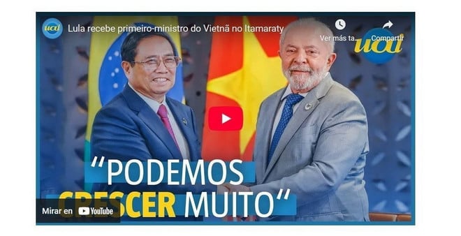 viet-nam-brazil-3.jpg