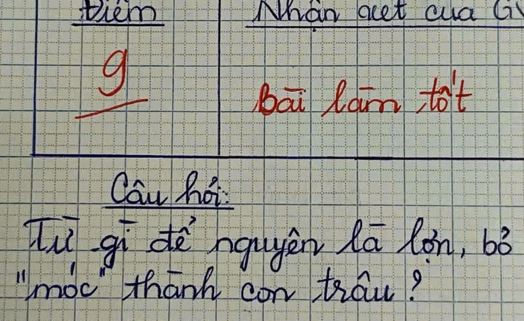 فيتنامية التي تستخدم بكلمة